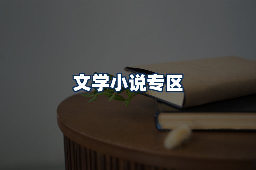 文学小说PDF展示